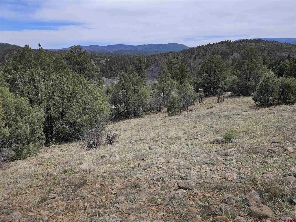 Picture 16