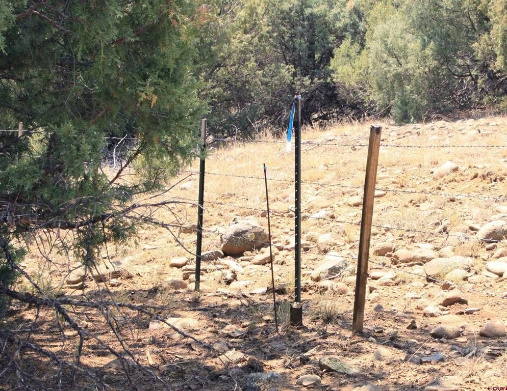 Picture 34