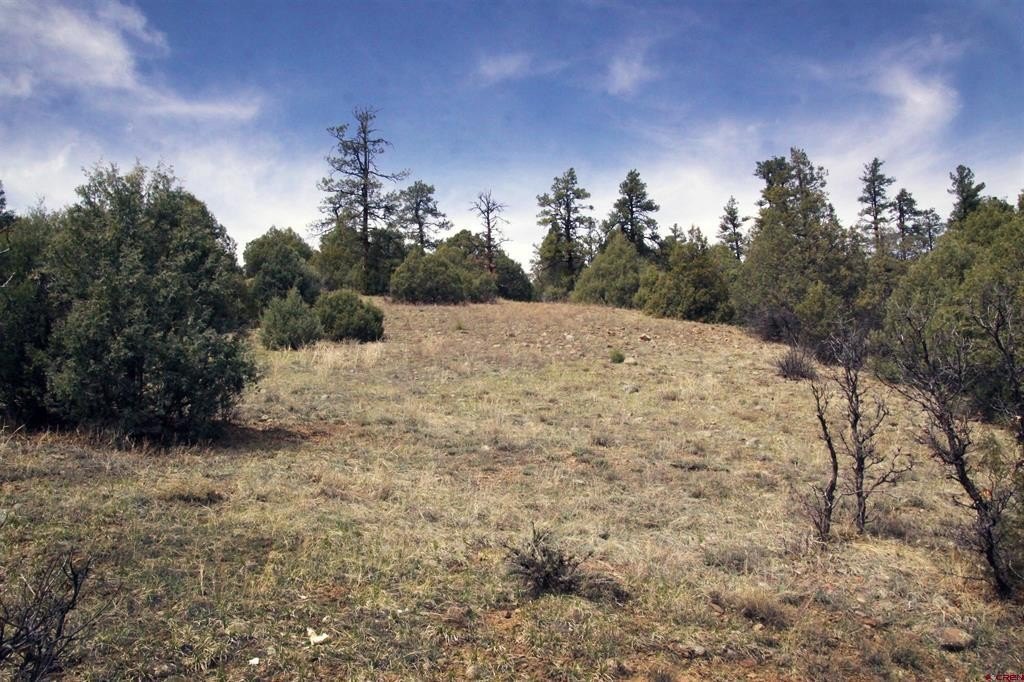 Picture 28