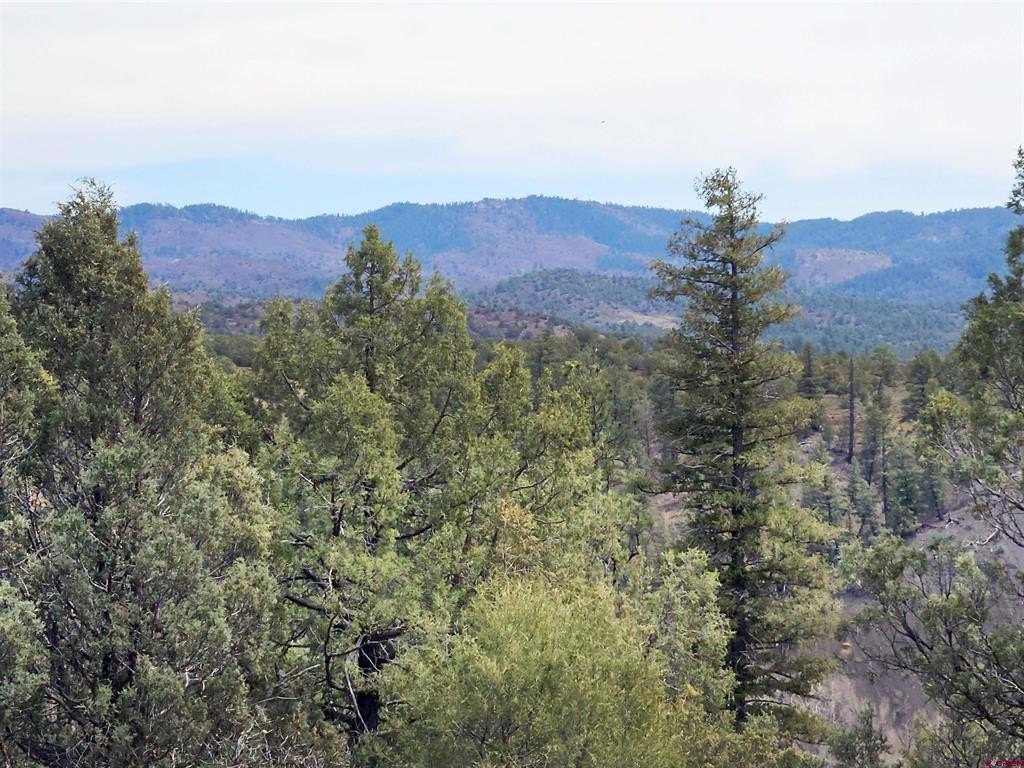 Land in Pagosa Springs, CO