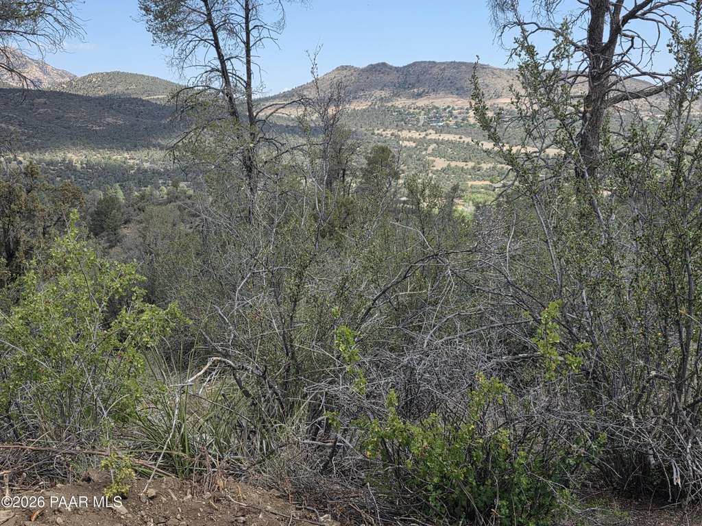 Picture 36