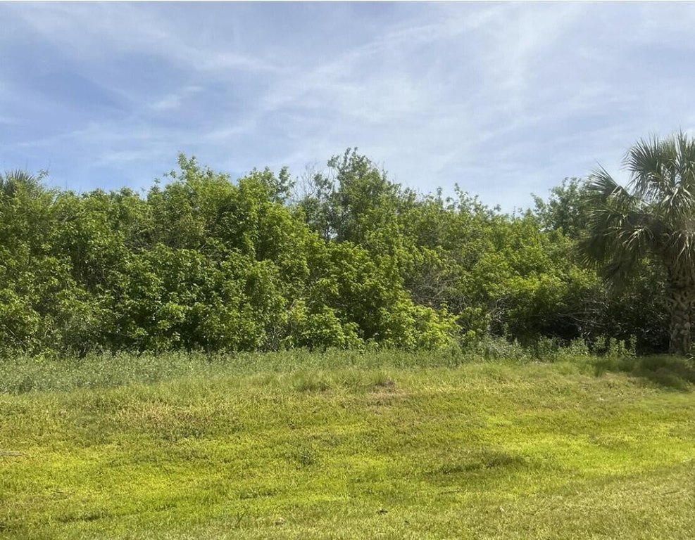 Picture 6
