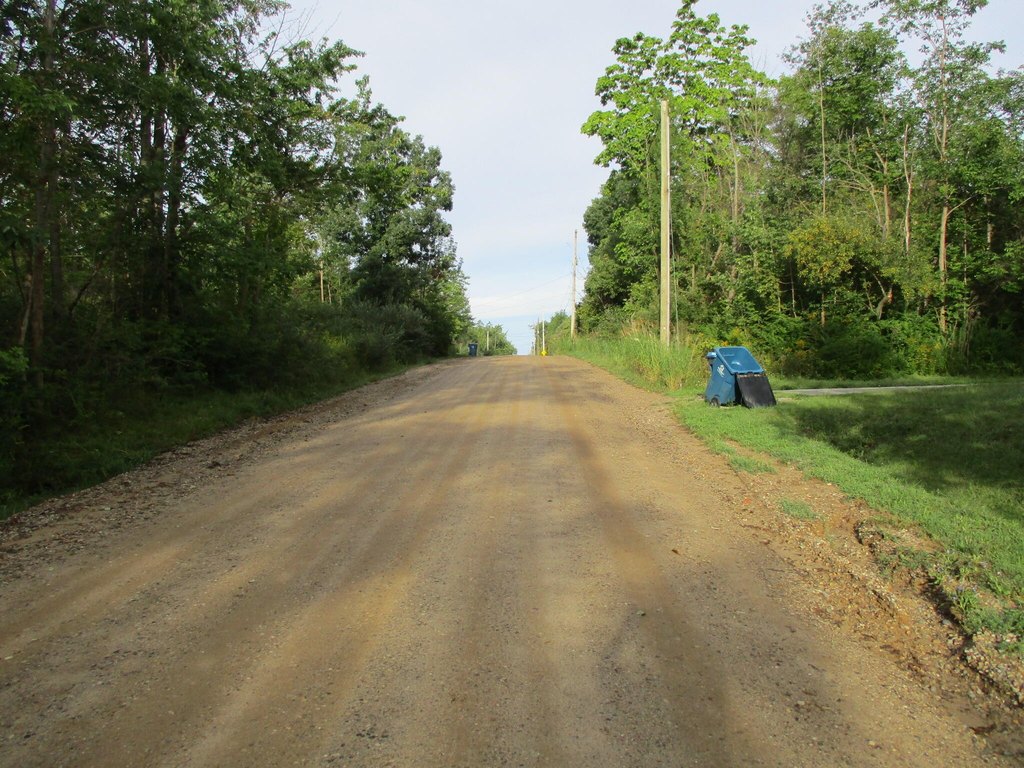 Picture 13