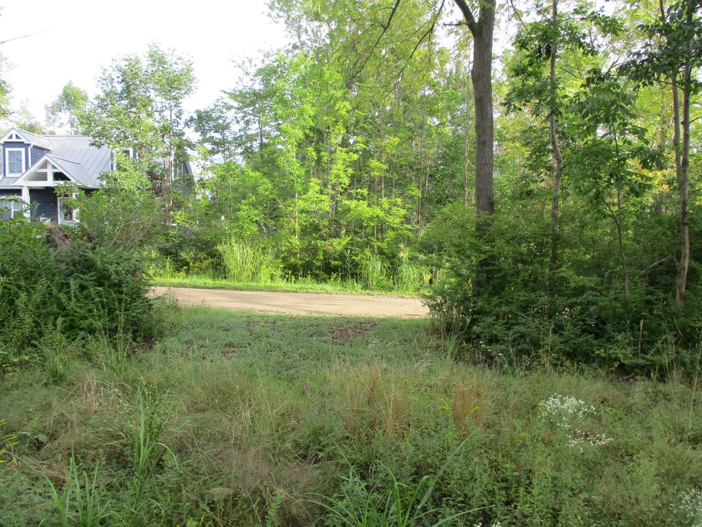 Picture 7