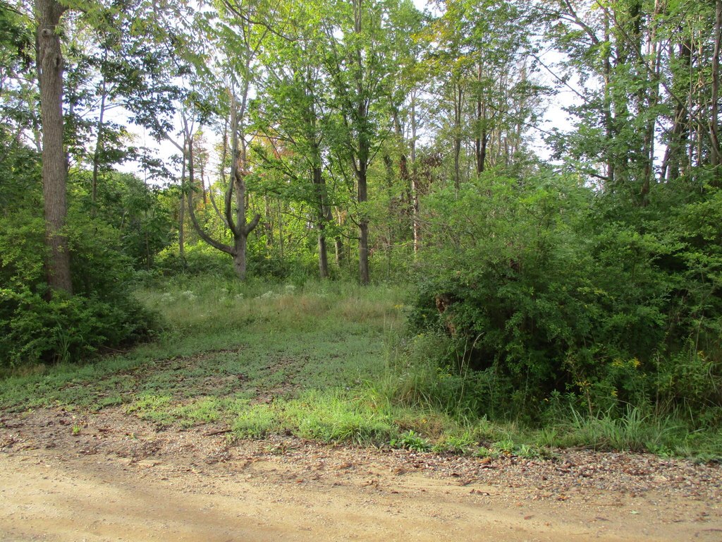 Picture 5