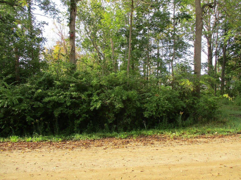Picture 3