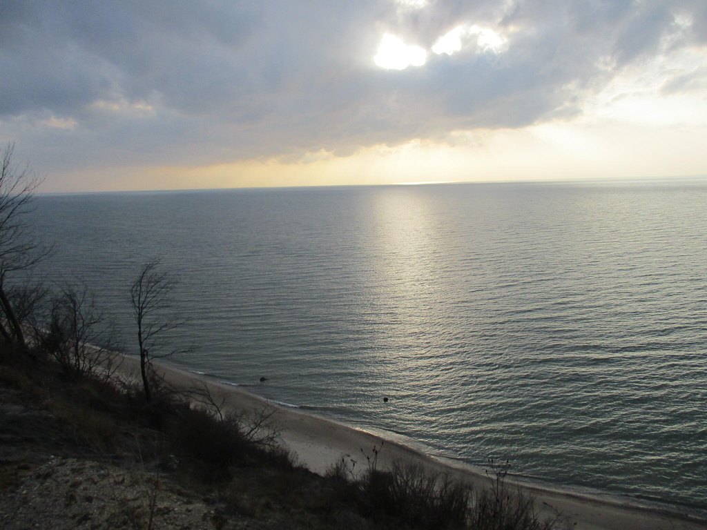 Picture 11