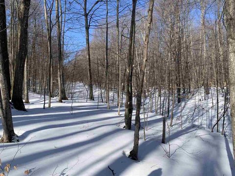 Ski In/Out Homesite