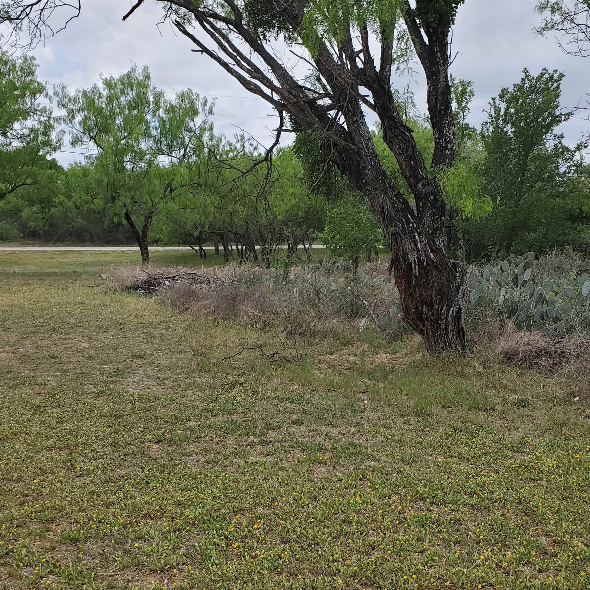 Granite Shoals Land Opportunity
