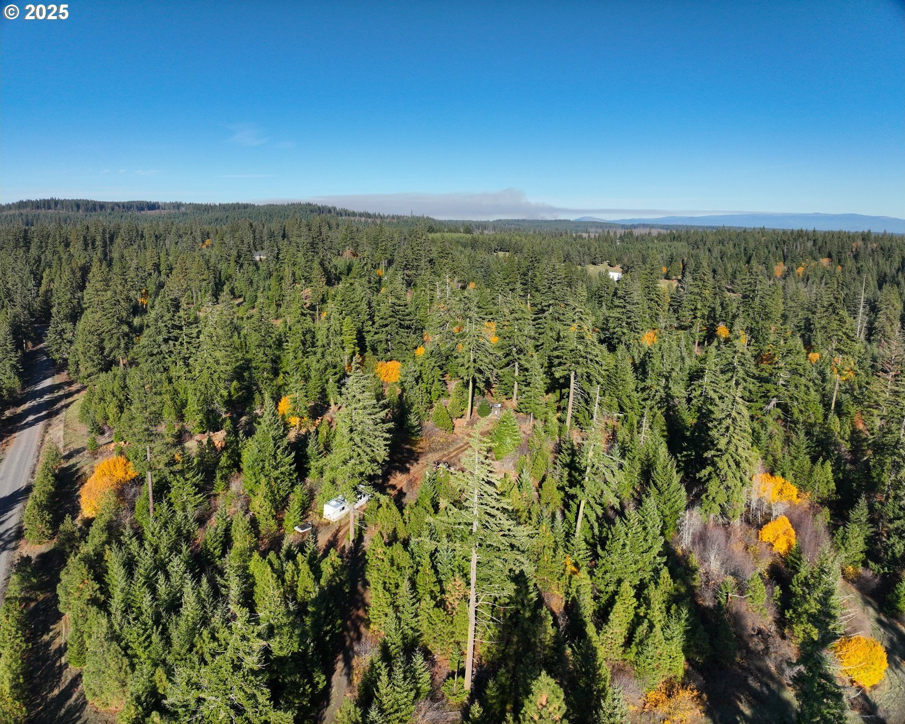 Lyle WA Wooded Acreage