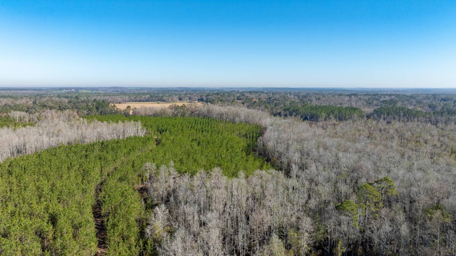 Recreational Land in Ashville Area