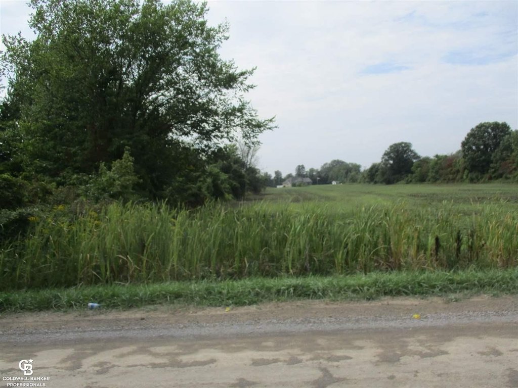 Picture 11