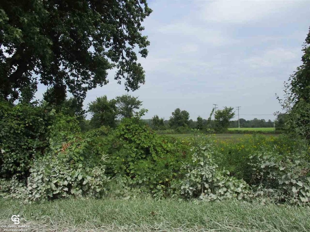 Picture 9