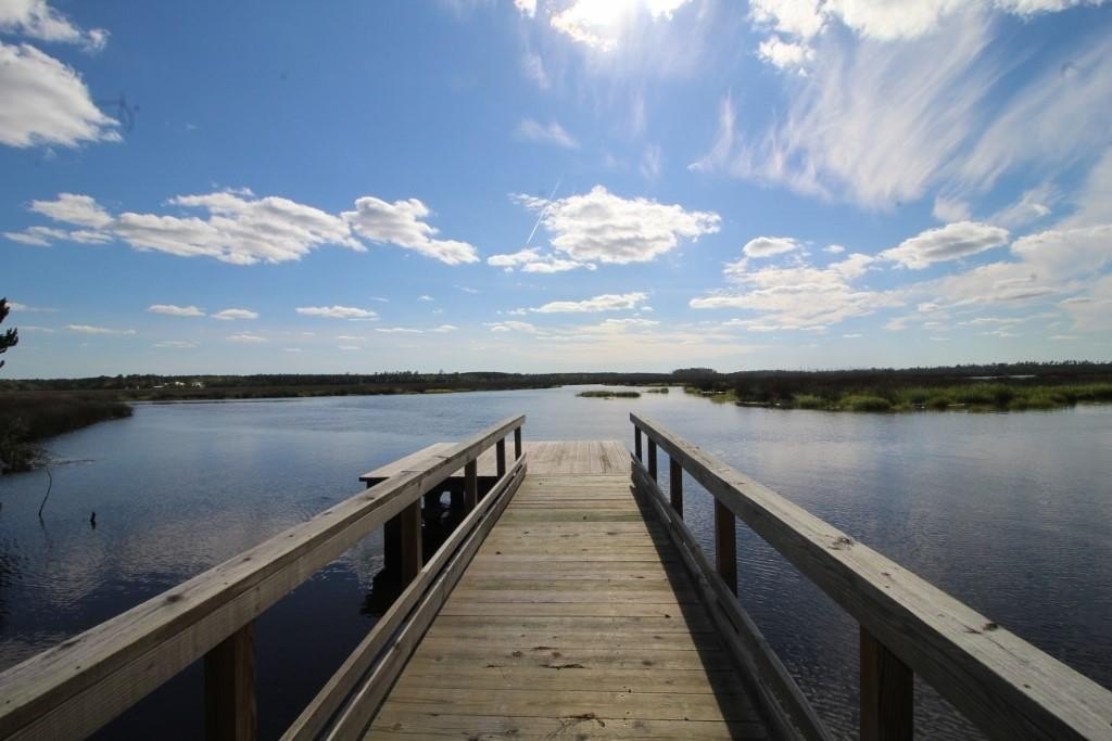 Picture 31