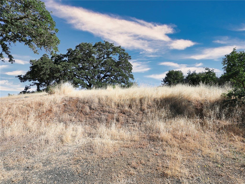 Land in Nice, California