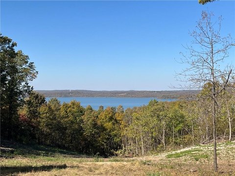 Lake Tenkiller View Land