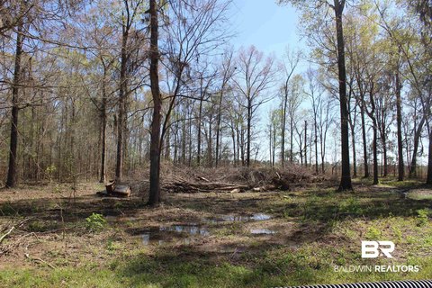 Lowndesboro Land Near Alabama River