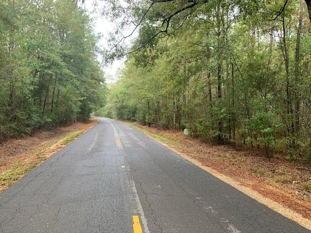 LAND - Ponchatoula, LA