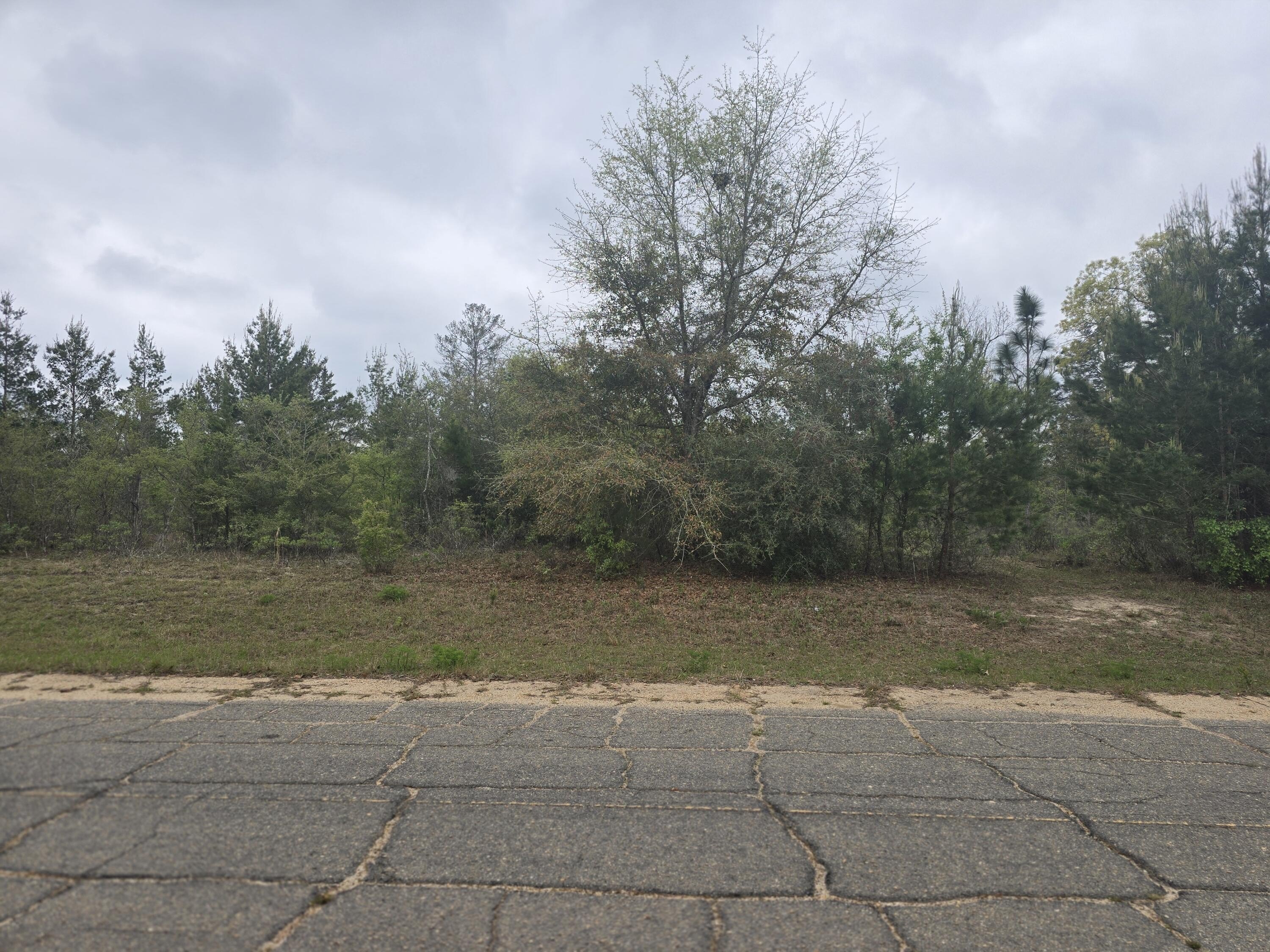 Residential Lot in Sunny Hills