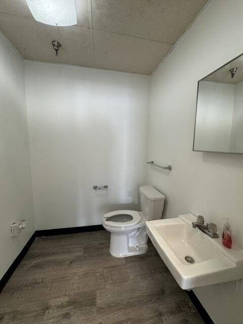 Picture 7