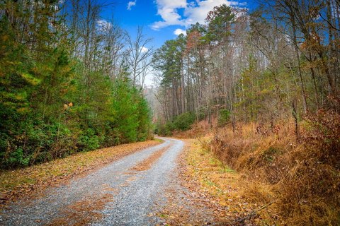 Vacant Lot, Blue Ridge, GA