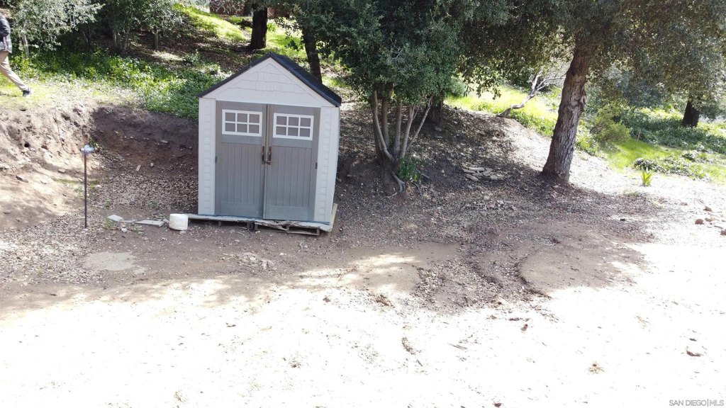 Picture 6