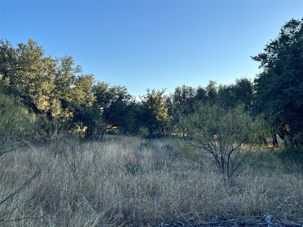 Picture 19