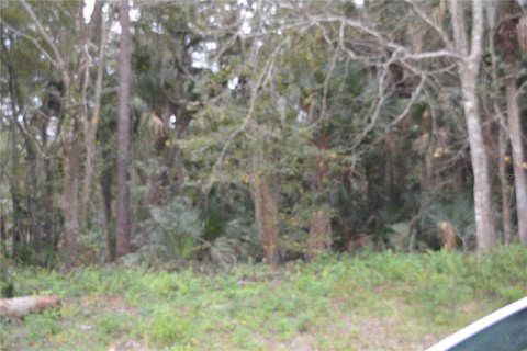 LAND - SANFORD, FL