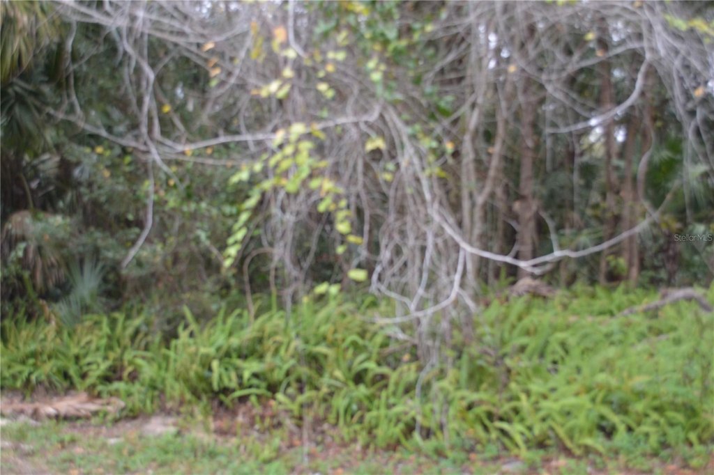 Picture 4