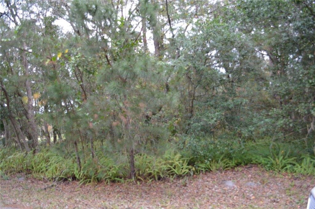 Picture 3