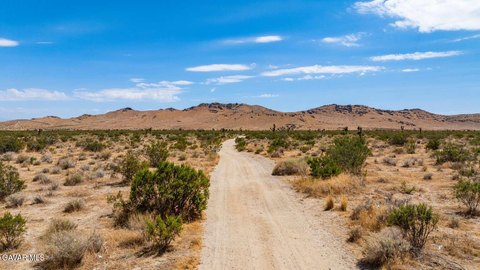 Flat Agricultural Land Parcel