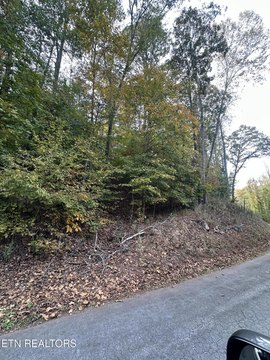 Lots & Acreage, Louisville, TN