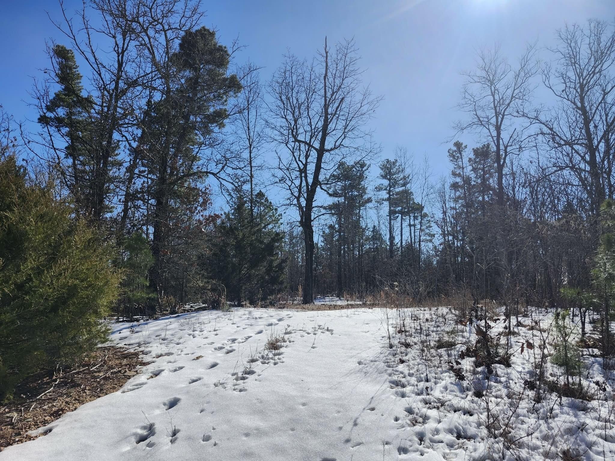 Wooded Land Near Route 60
