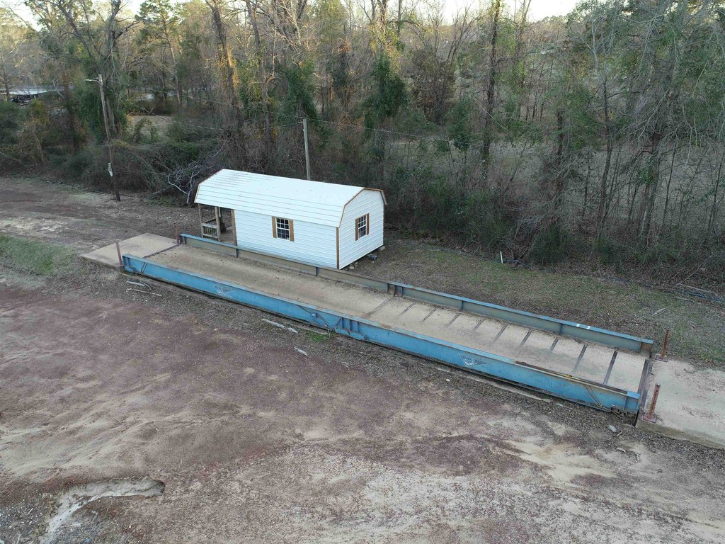 Picture 12