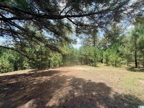 LAND/LOTS, WEST BLOCTON, AL