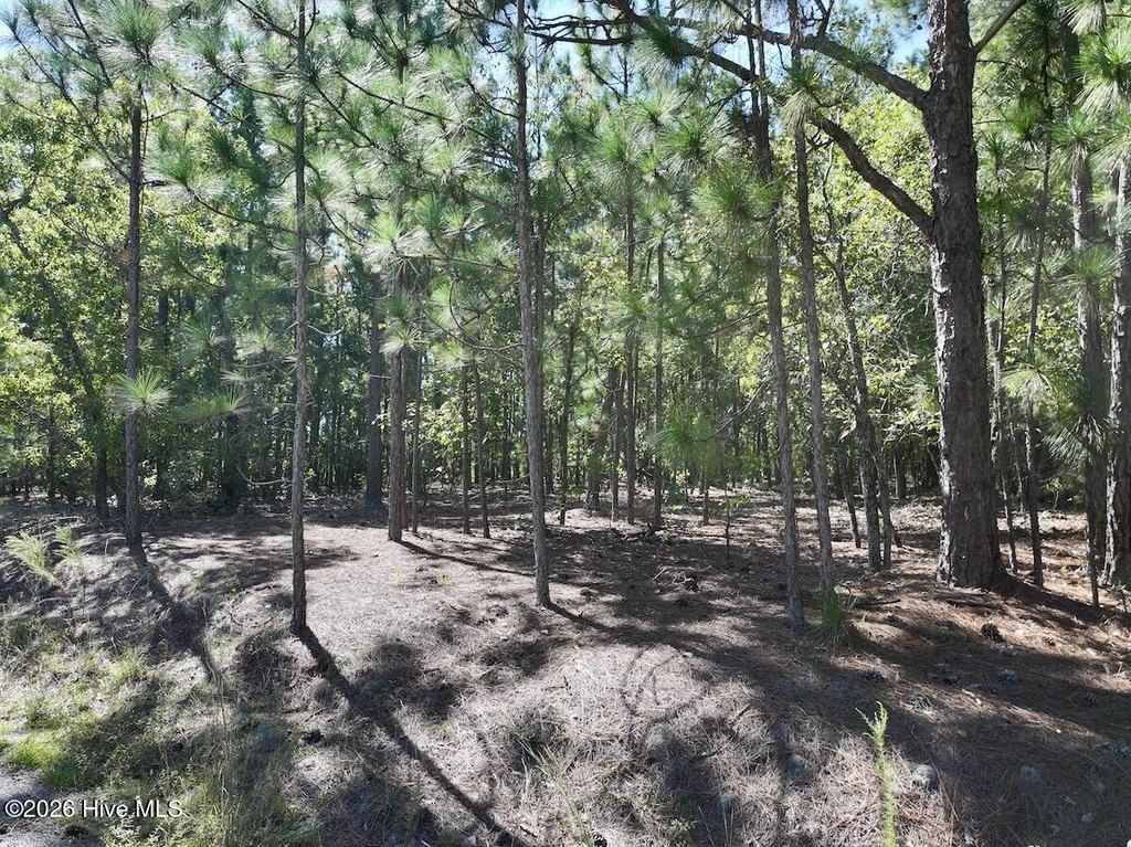 Picture 14