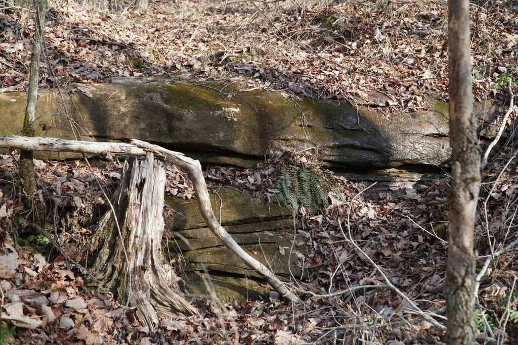 Picture 4