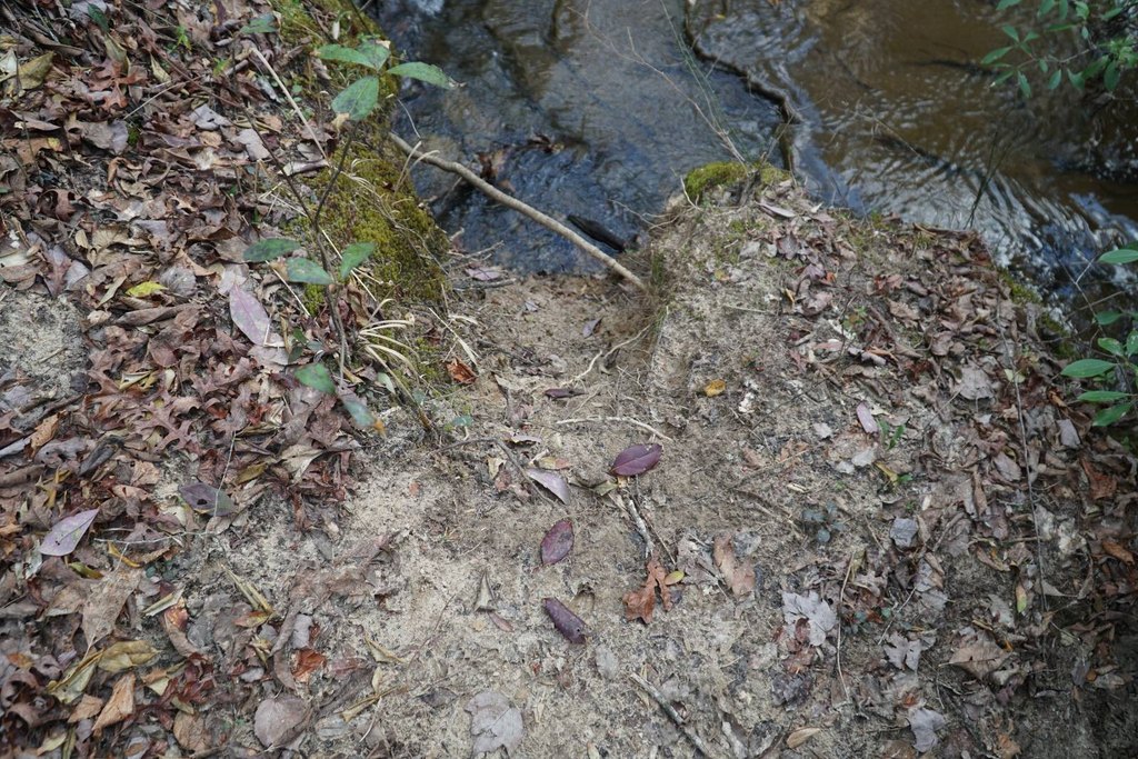 Picture 23