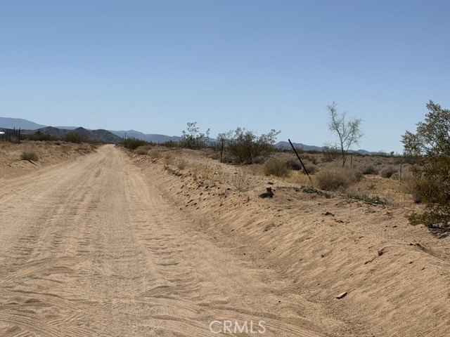 Picture 7