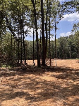 Residential Land in Holly Springs
