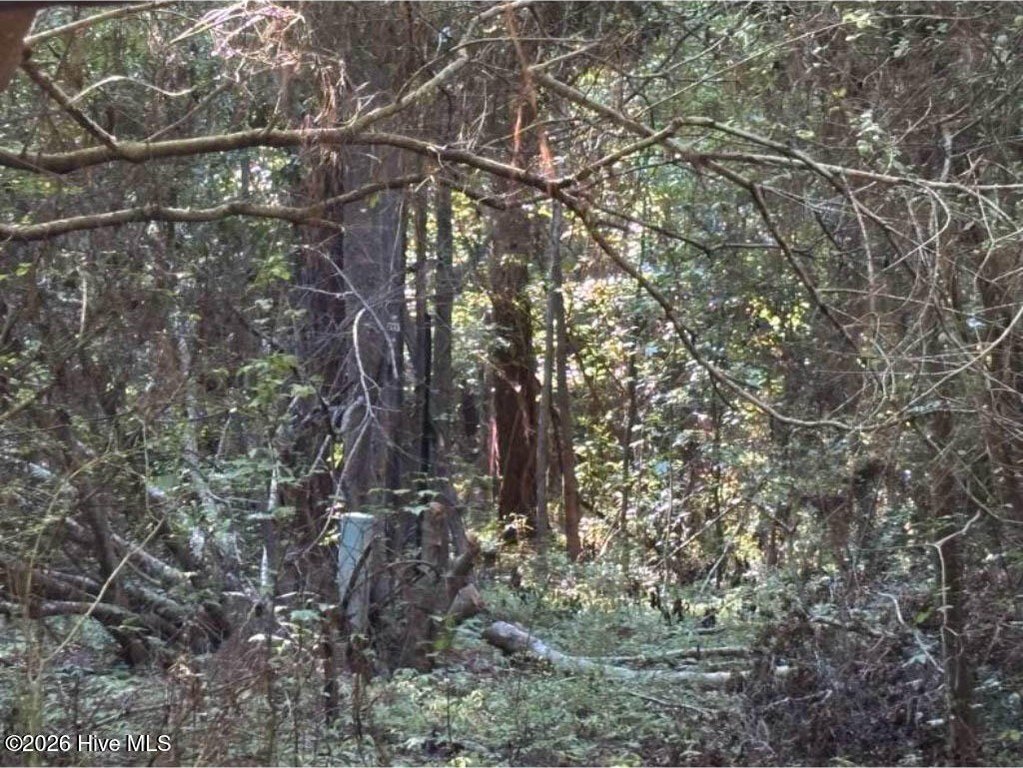 Picture 18