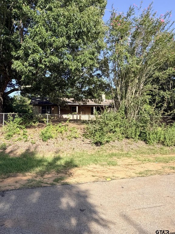 Picture 5