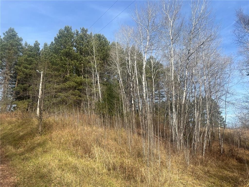 Picture 2