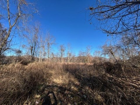 Topton, NC Mountain View Land
