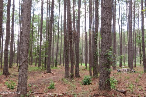 LAND - Oriental, NC