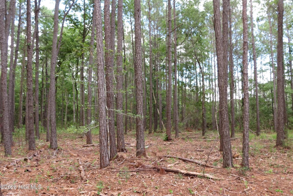 Picture 13