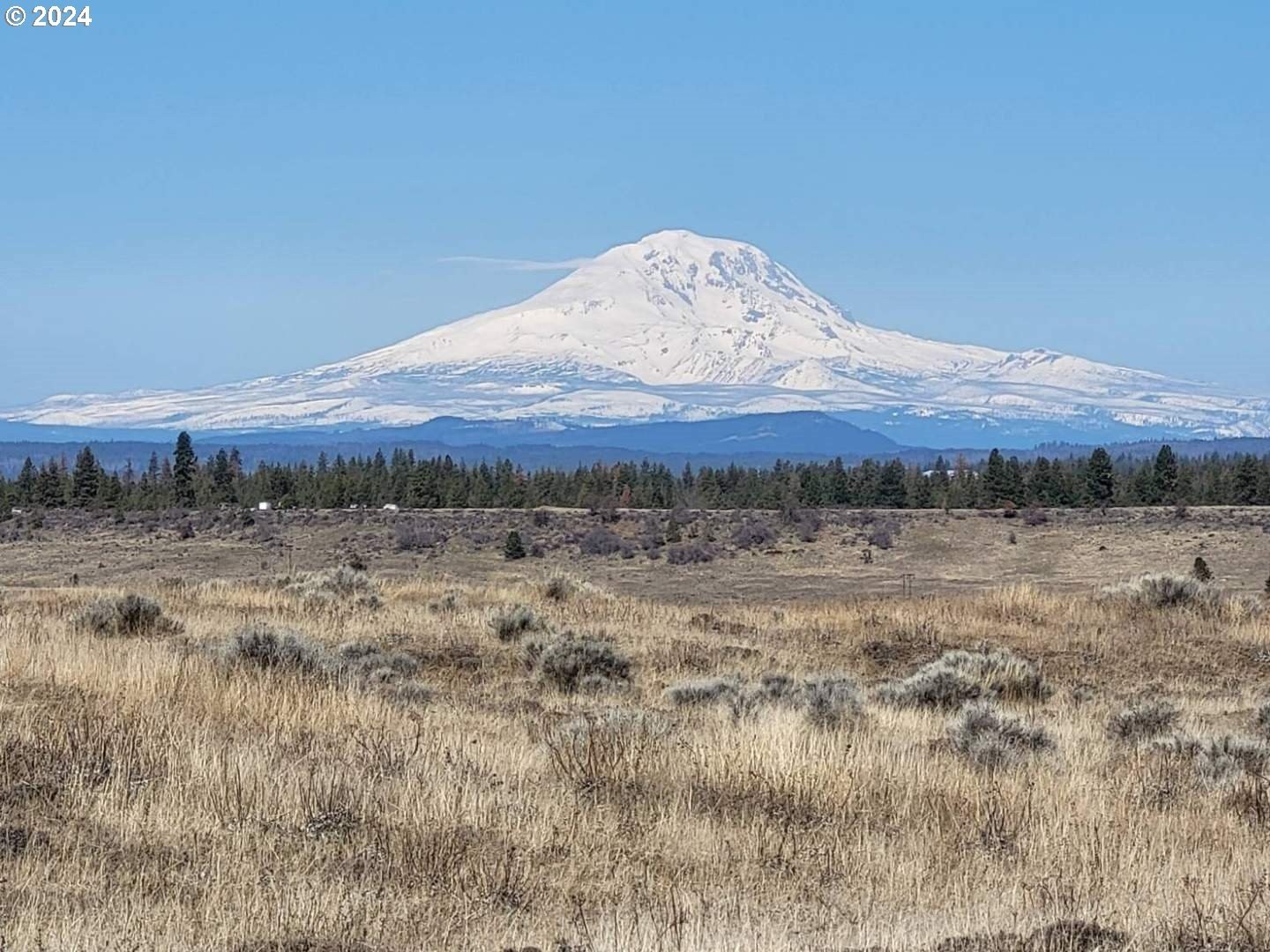 20 Acres with Mountain Views