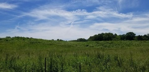 Unrestricted Land Near Sparta, TN