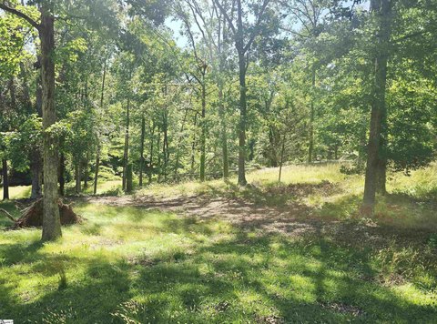 Greer Land Near Downtown