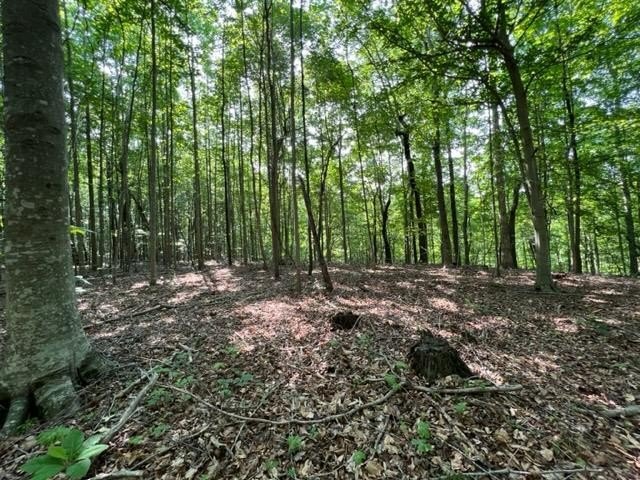 Unrestricted Land Near Willow Grove